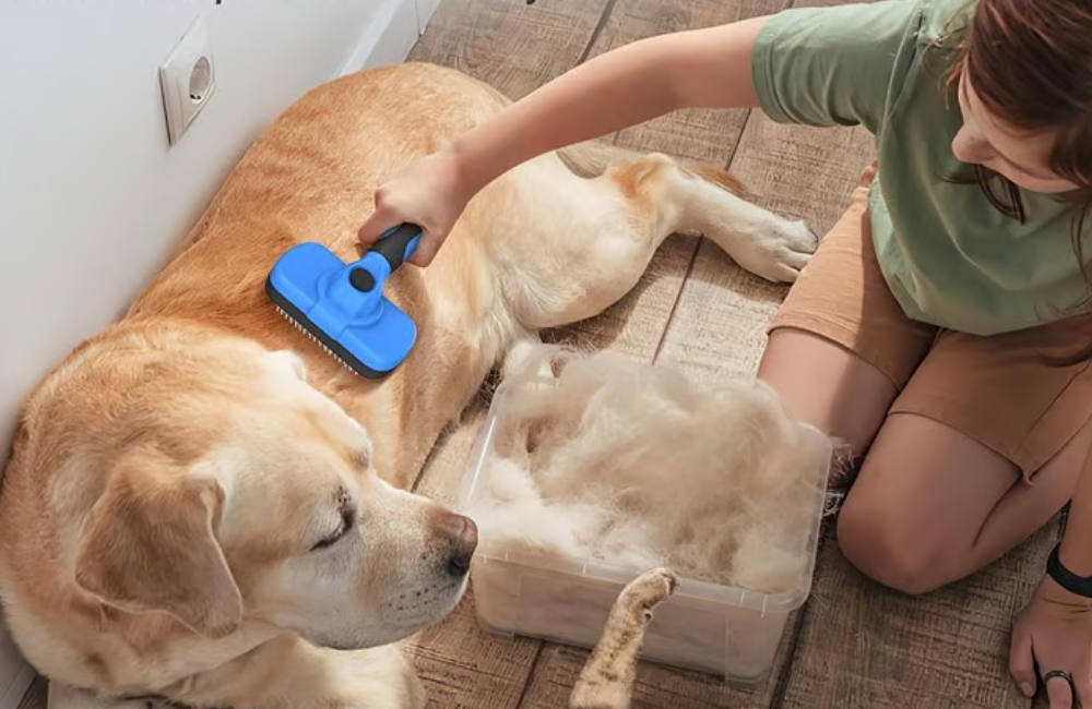Every Pet Owner Needs a Self-Cleaning Slicker Brush for Grooming