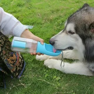 The Complete Guide to Finding the Best Dog Water Bottle for Your Pet