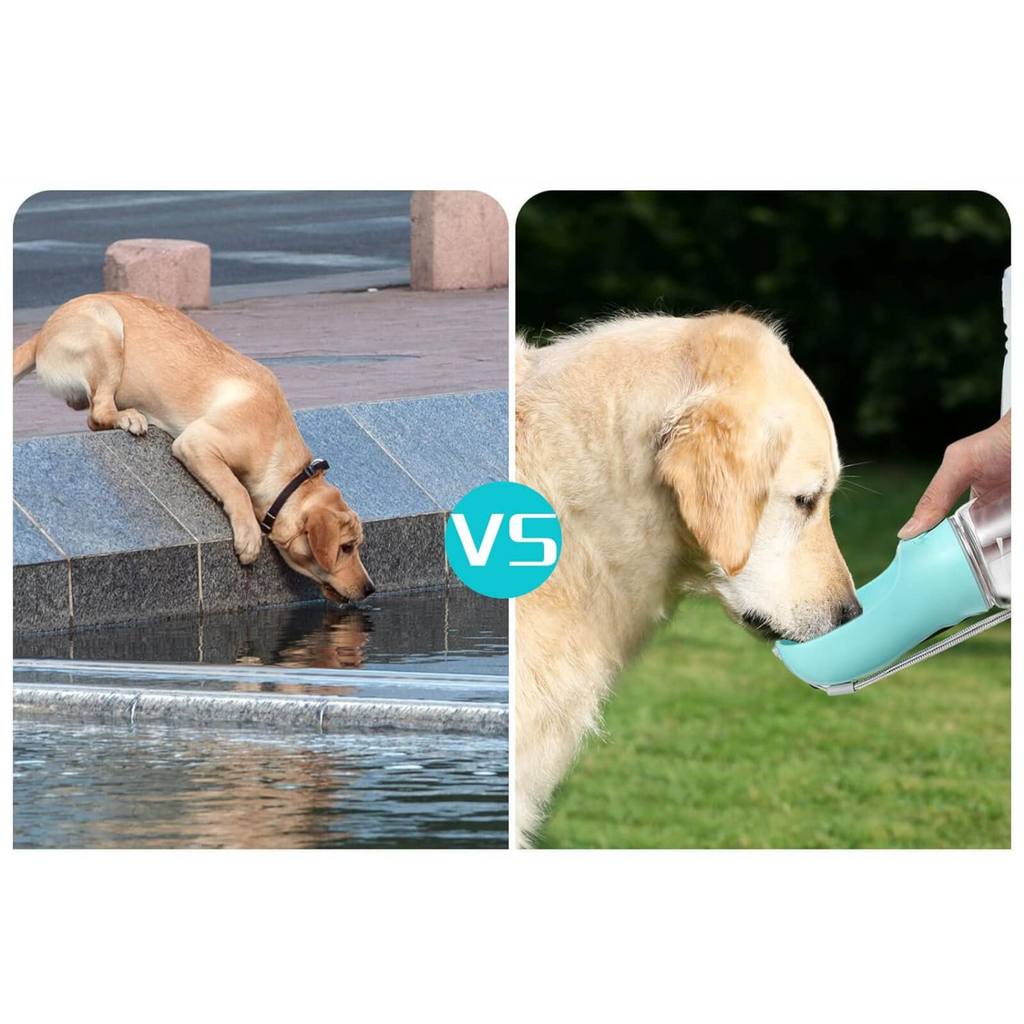 Portable Dog Water Bottle – Leak Proof Pet Dispenser