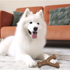 Durable Wishbone Dog Chew Toy for Aggressive Chewers – Real Bacon & Peanut Flavor, Medium