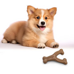 Durable Wishbone Dog Chew Toy for Aggressive Chewers – Real Bacon & Peanut Flavor, Medium