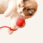 Interactive Cat Toy Ball with Moving Tail – Motion Activated Kitten Toy