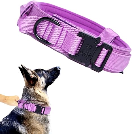 Tactical Dog Collar with Airtag Holder – Waterproof Training Collar with Handle