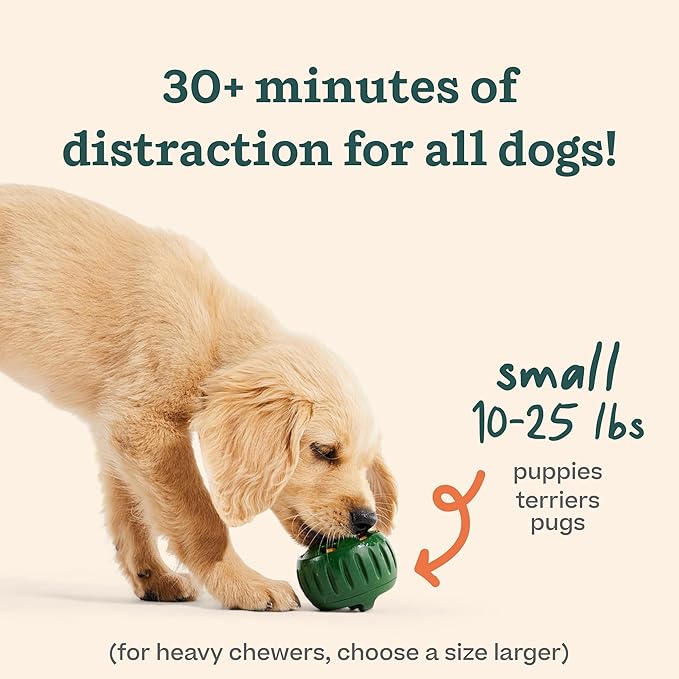 Interactive Dog Enrichment Toy Starter Pack with Treat Molds & Chicken-Flavored Snacks