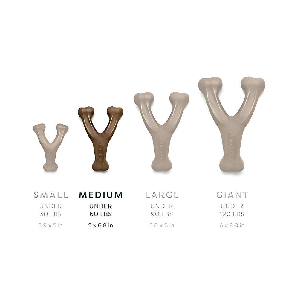 Durable Wishbone Dog Chew Toy for Aggressive Chewers – Real Bacon & Peanut Flavor, Medium