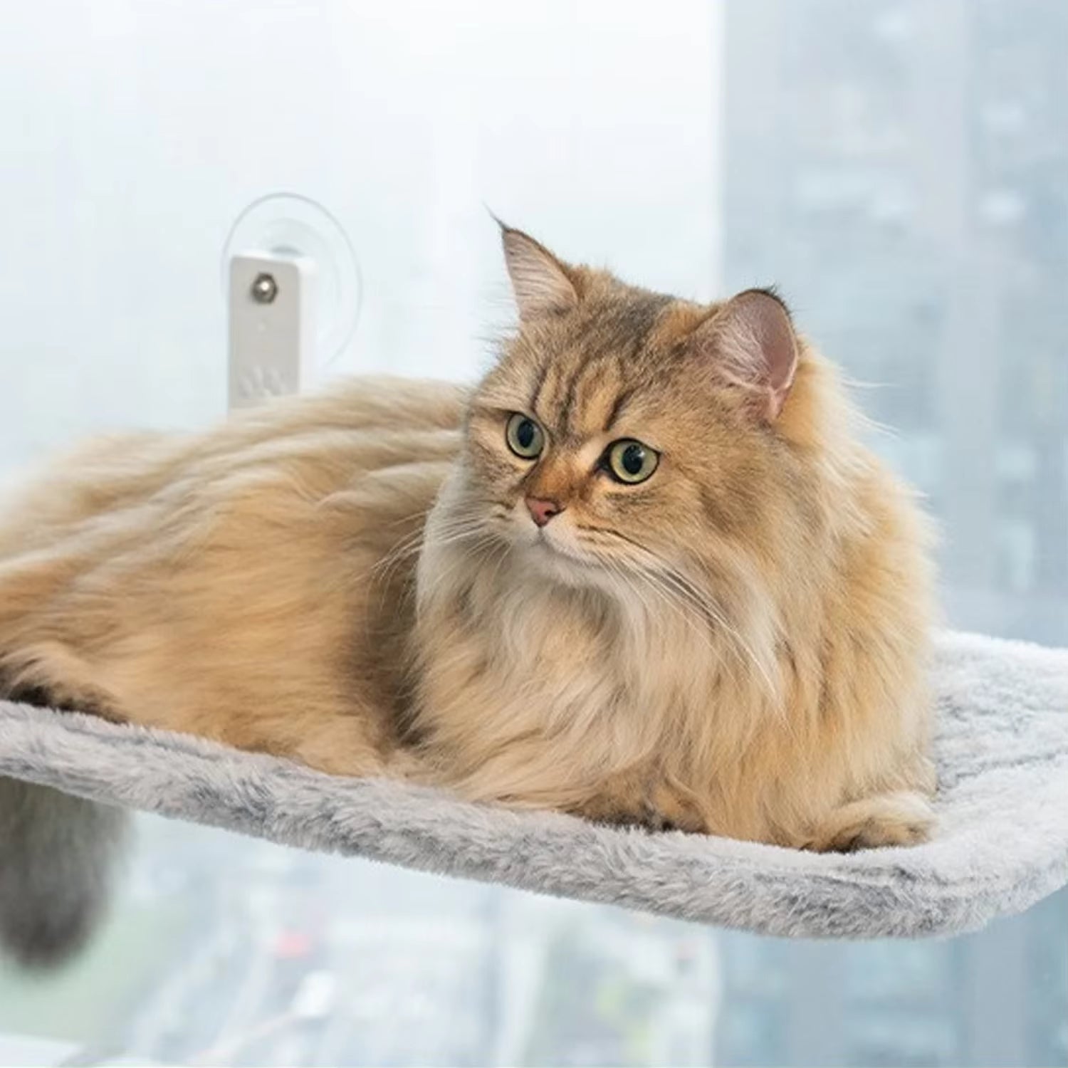 Foldable Cat Window Perch Hammock with Suction Cups & Metal Frame