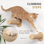 Wall Mounted Cat Hammock & Steps | Cat Shelves & Climbing Furniture