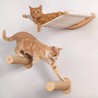 Wall Mounted Cat Hammock & Steps | Cat Shelves & Climbing Furniture