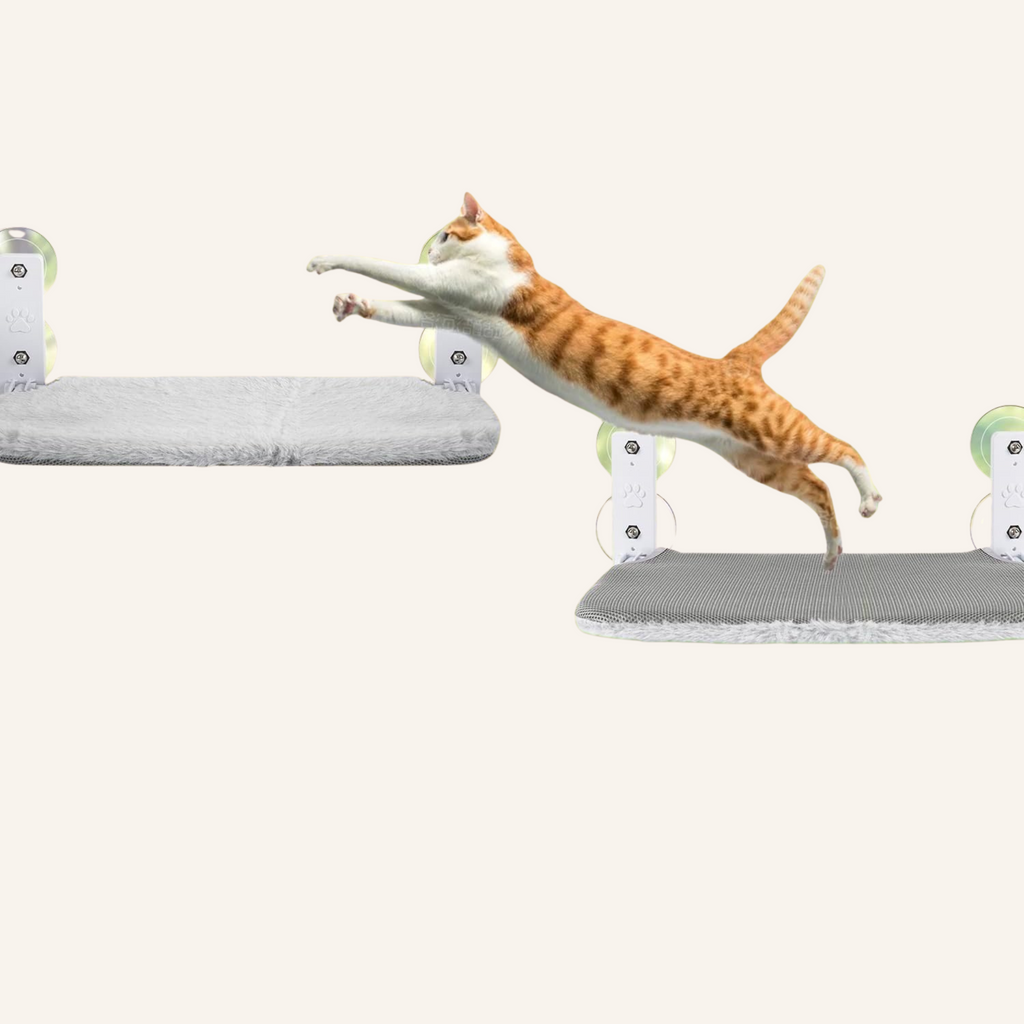 Foldable Cat Window Perch Hammock with Suction Cups & Metal Frame