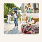 Large Squeaky Plush Dog Toy for Chewing, Fetch & Tug